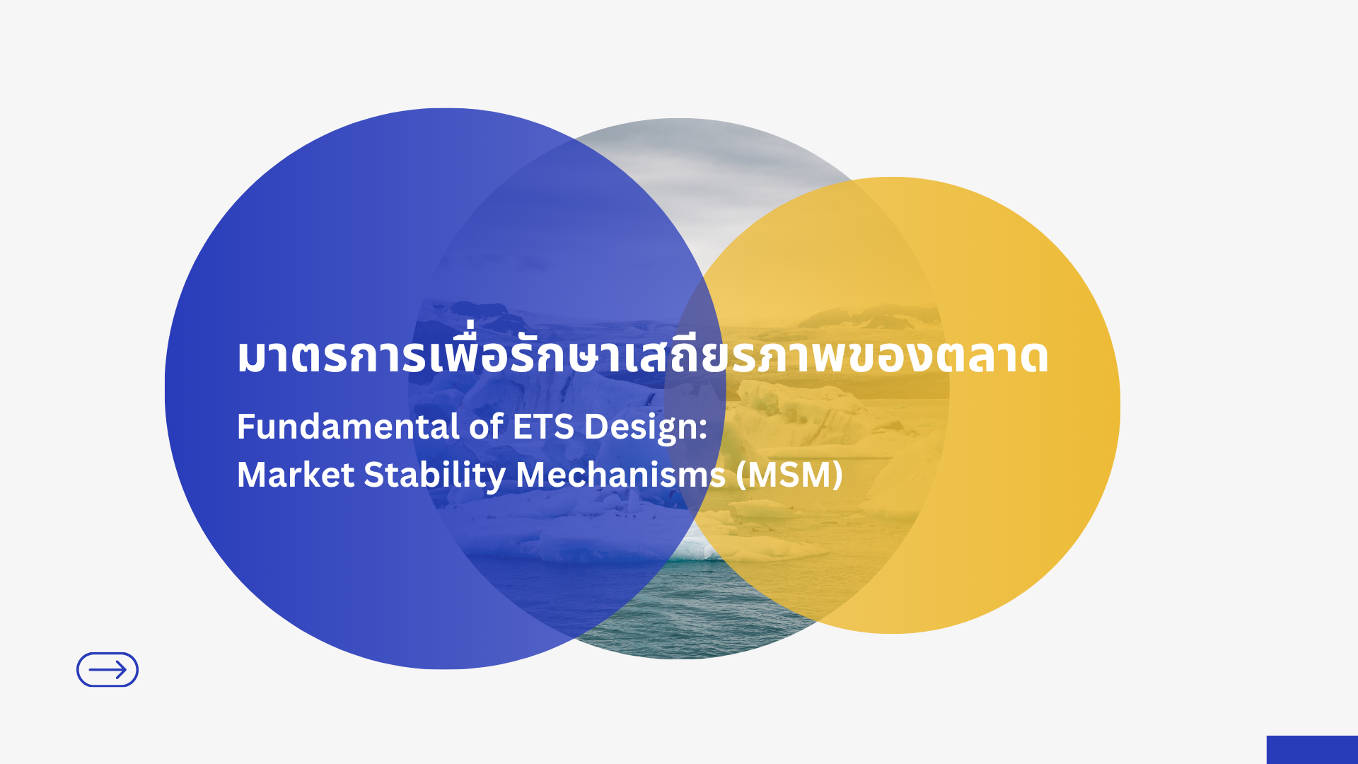  D-2 มาตรการเพื่อรักษาเสถียรภาพของตลาด (Market Stability Mechanisms : MSM)